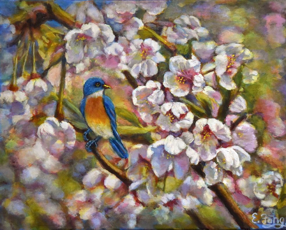 Blue Bird with Cherry Blossoms