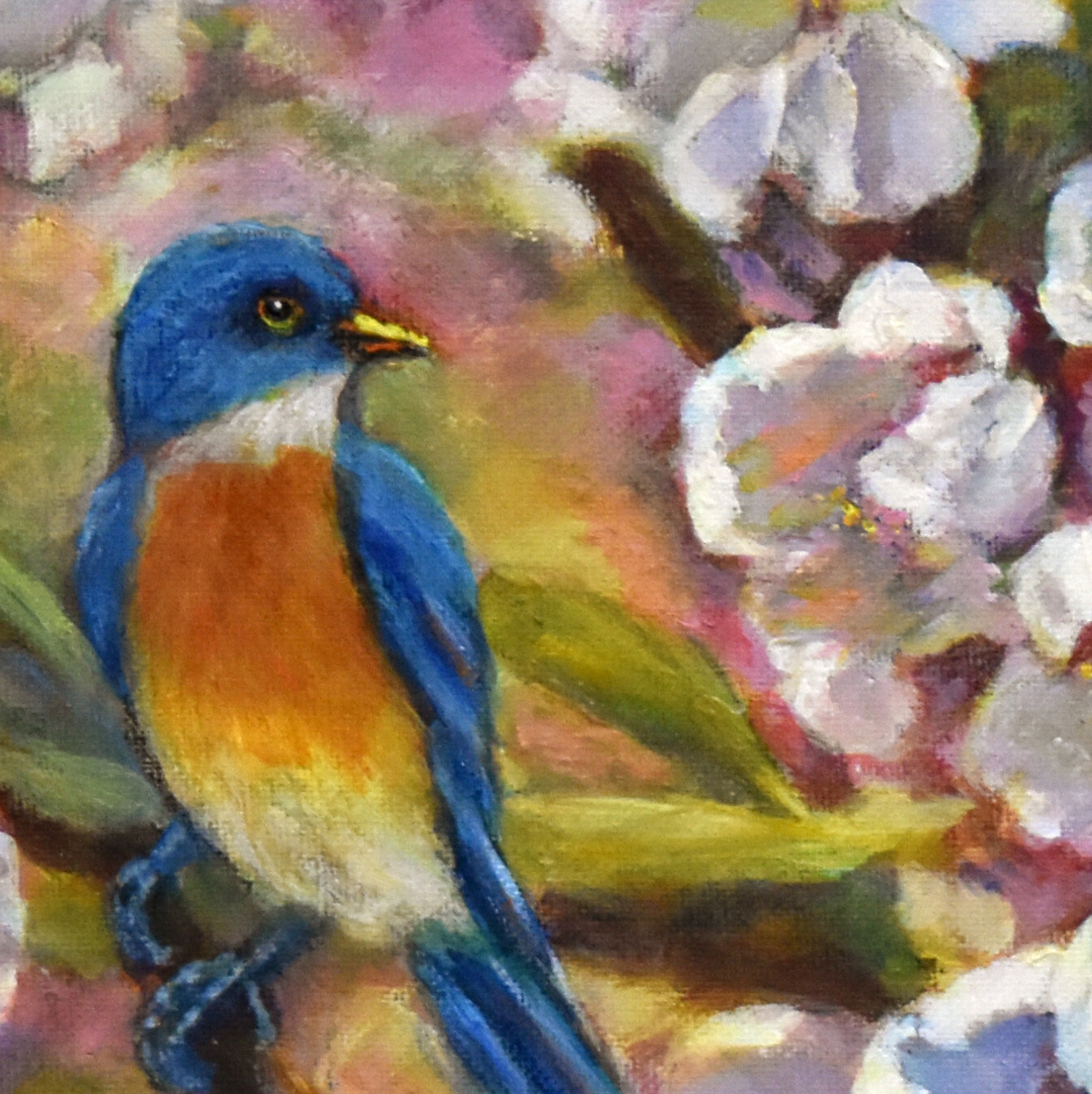 Blue Bird with Cherry Blossoms