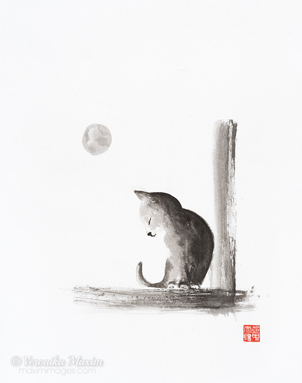 Moonlight Lullaby