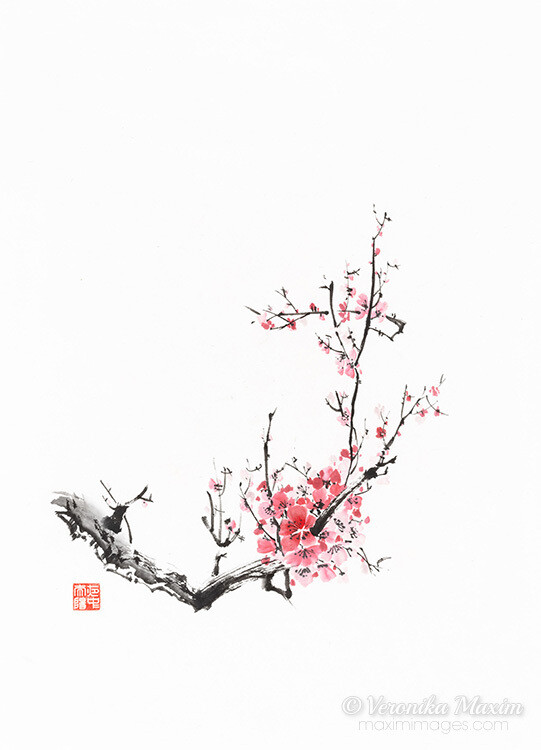 Fleeting Blossoms