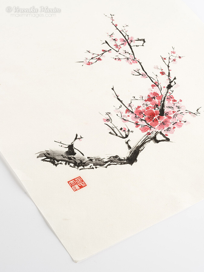 Fleeting Blossoms