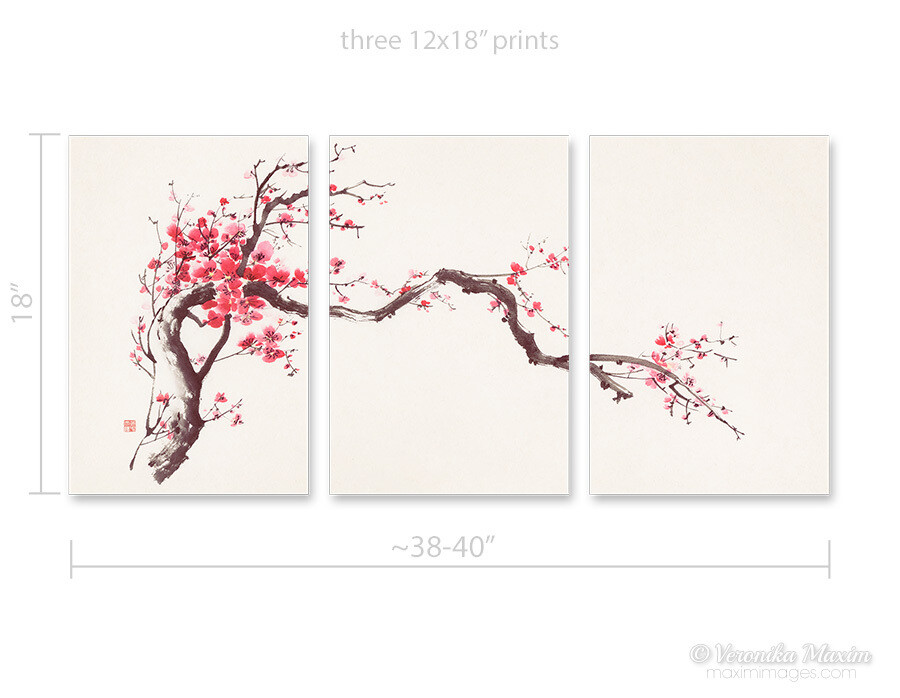 3-canvas Branch of Sakura Blossom