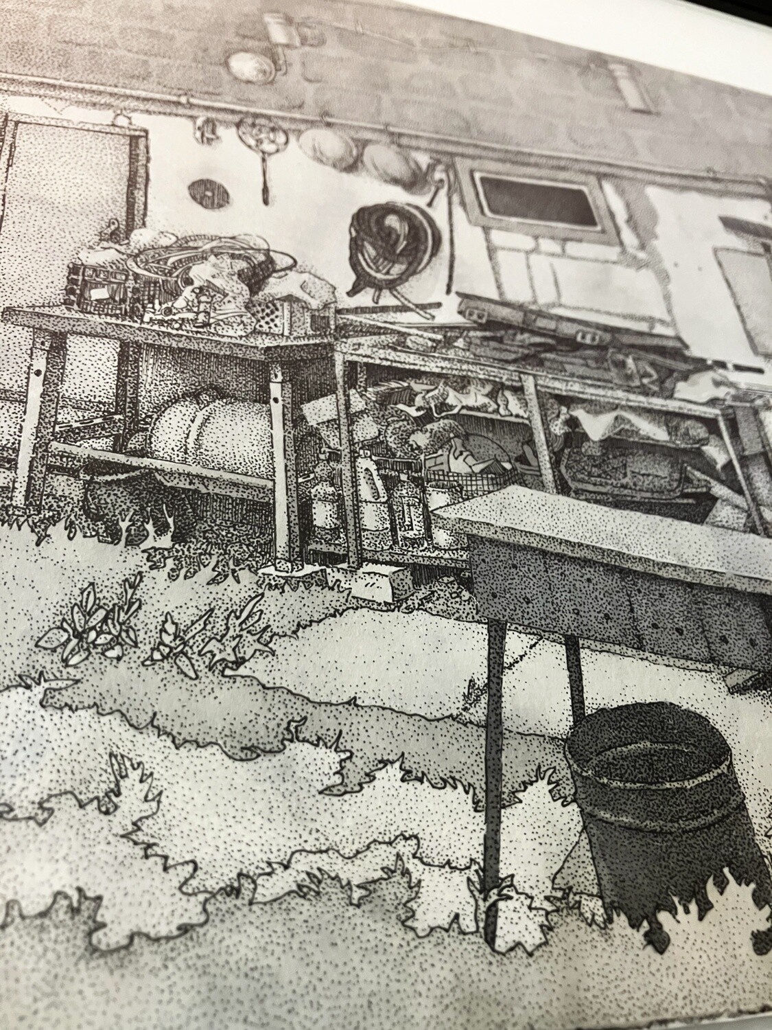 Cluttered Backyard