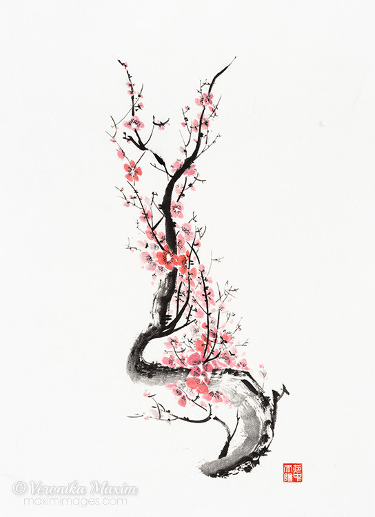 Fragrant shades of Sakura