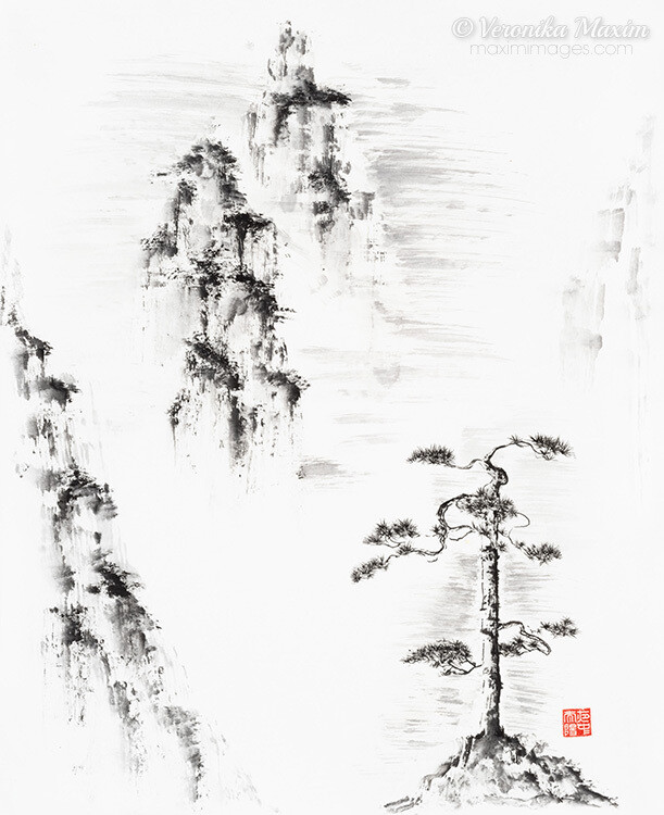 Old pine in the misty mountain tops