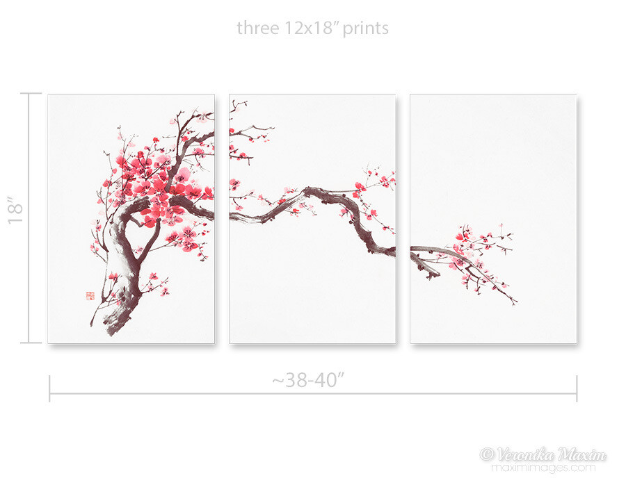 3-canvas Branch of Sakura Blossom