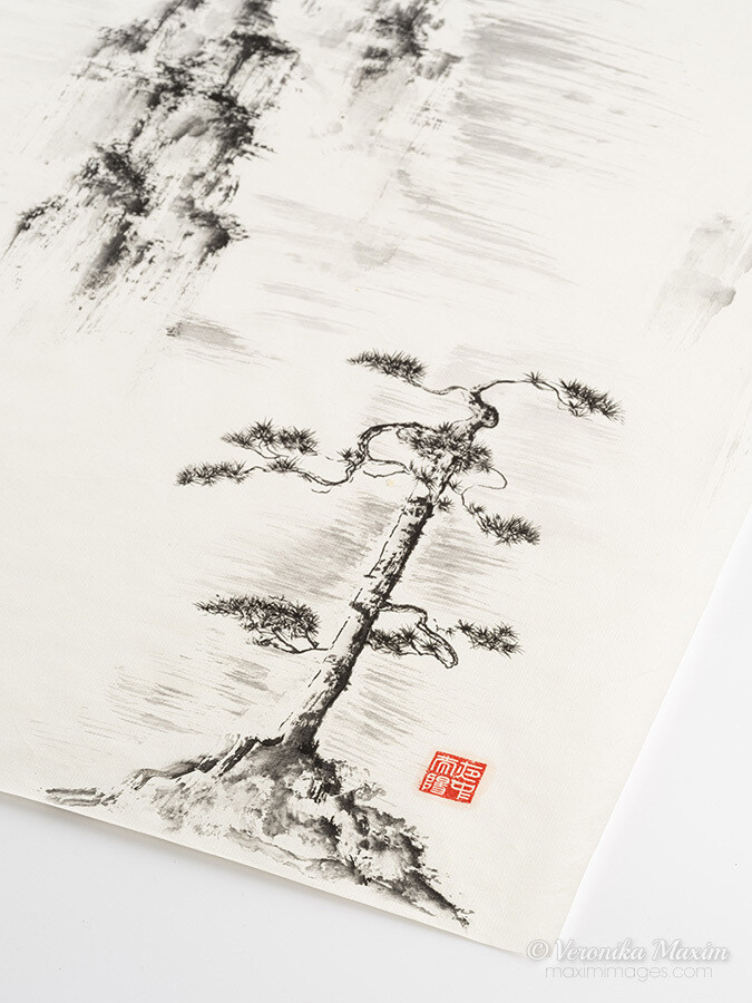 Old pine in the misty mountain tops