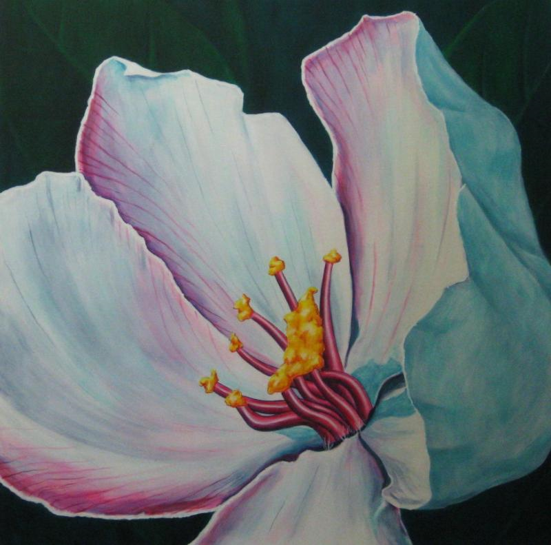Passion Flower
