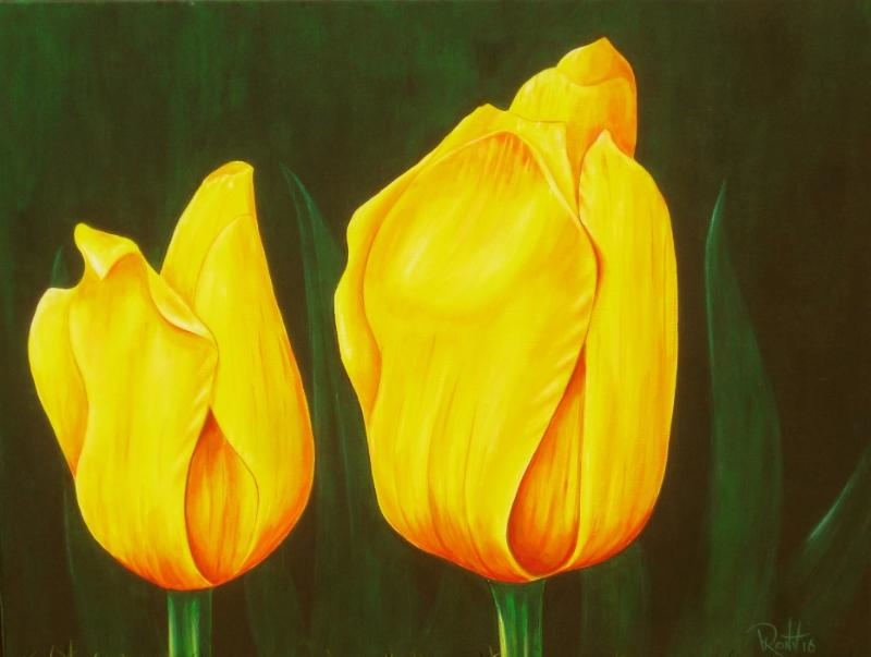 Yellow Tulips