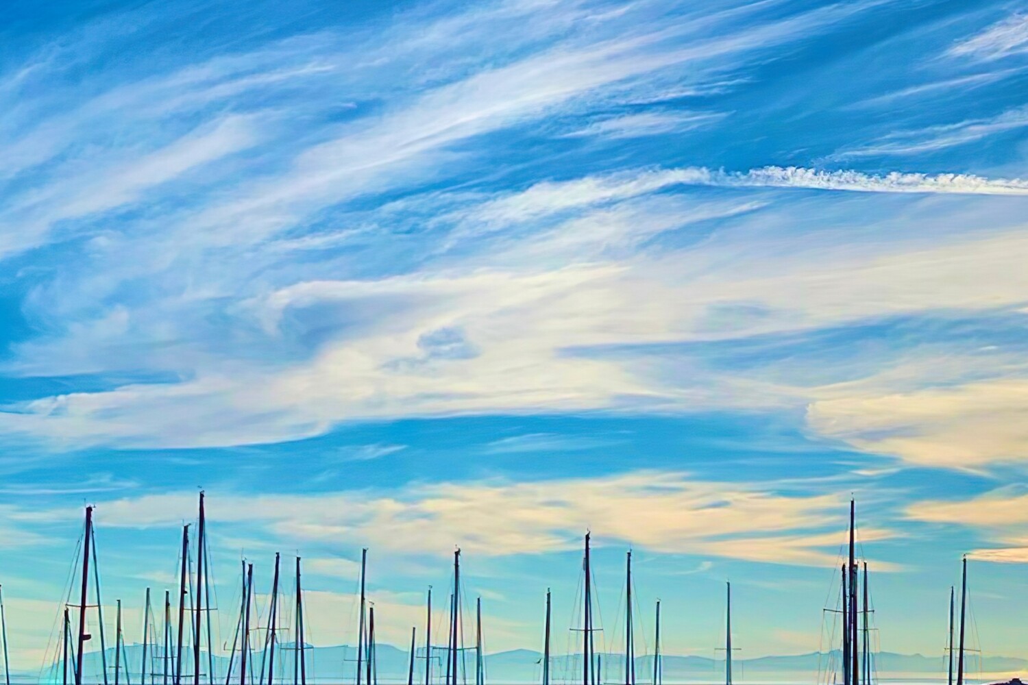 Breeze