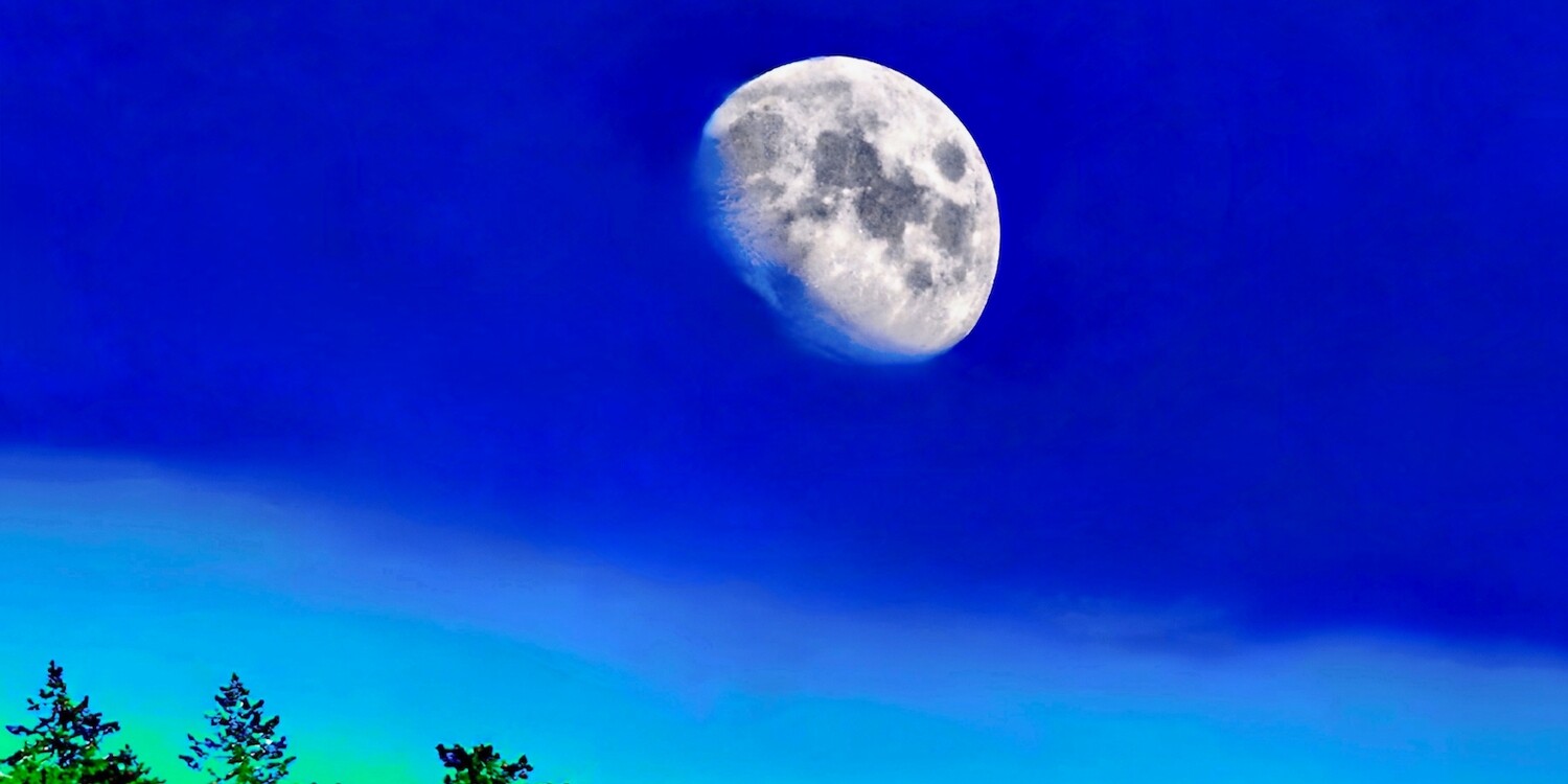 Moonshot