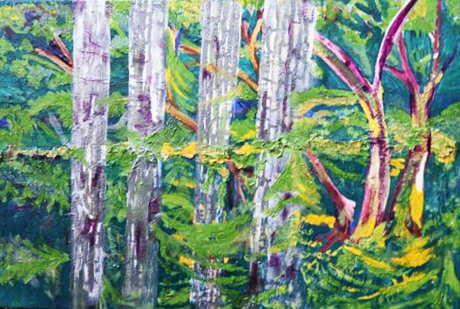 Pacific Silver Fir