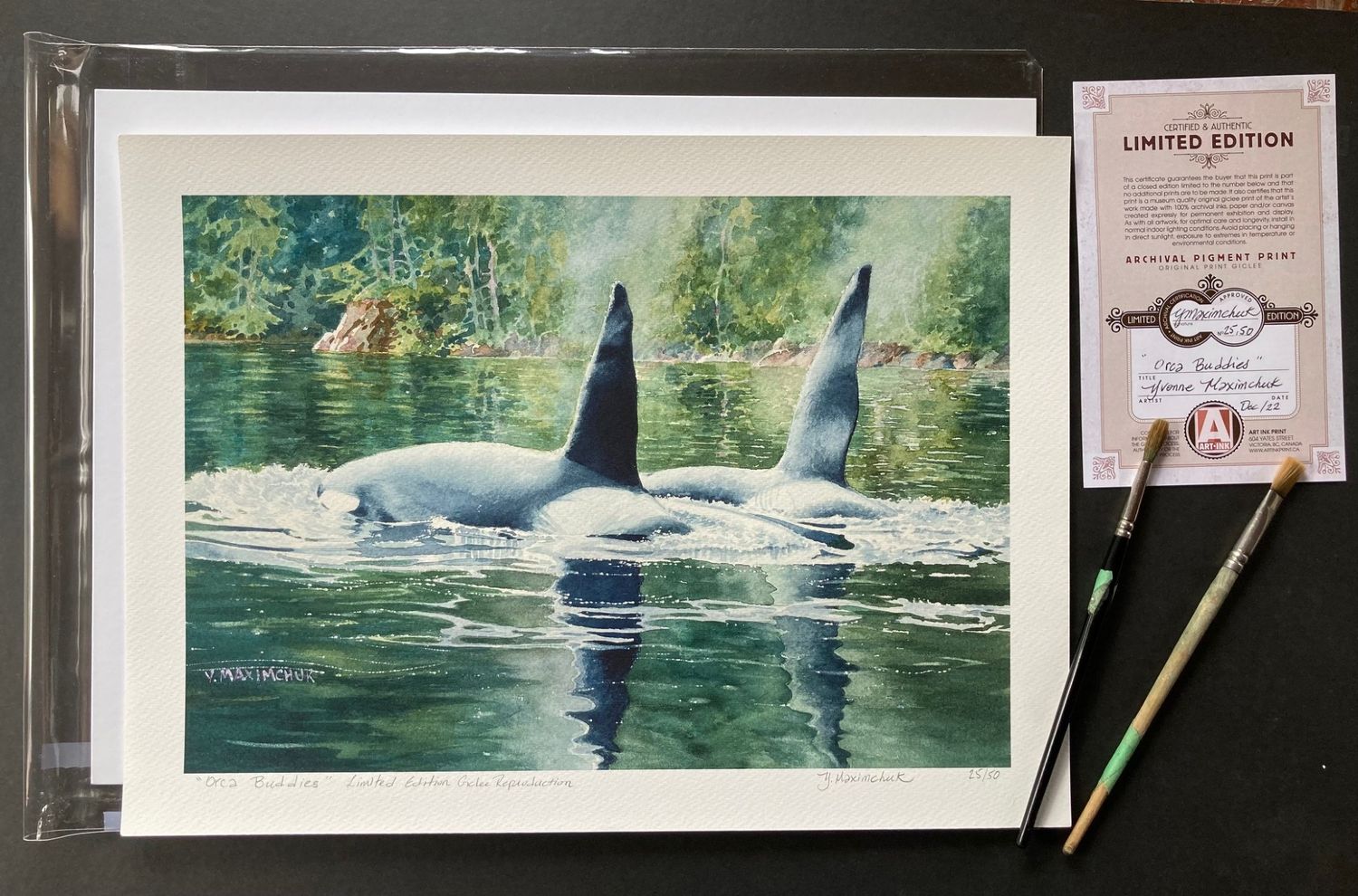 Orca Buddies