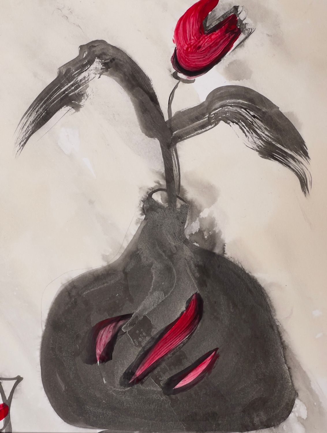 Tulips and Time