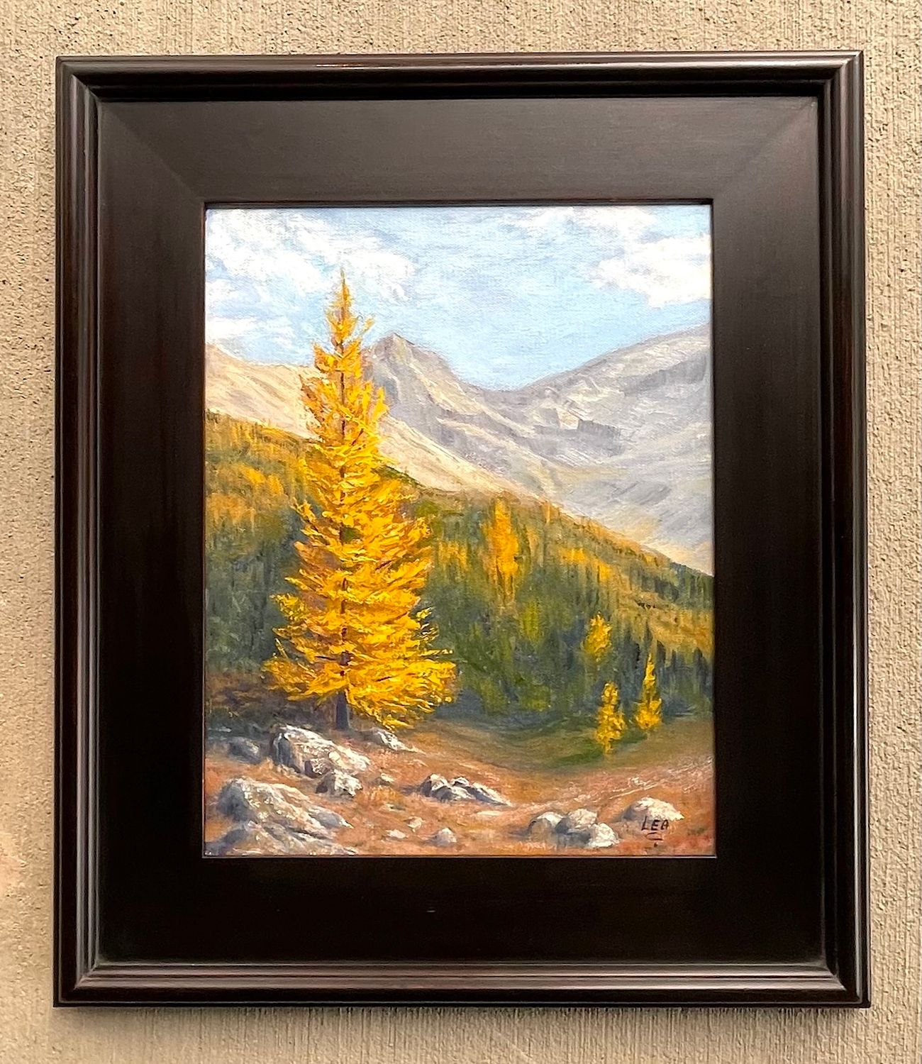 (SOLD)Alpine Larch