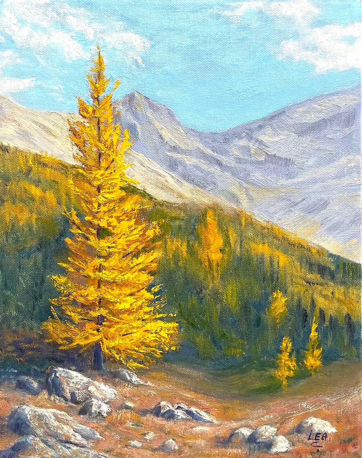 (SOLD)Alpine Larch