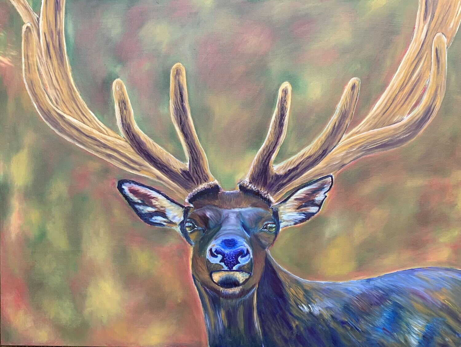 (SOLD)"BULL ELK - HANK"