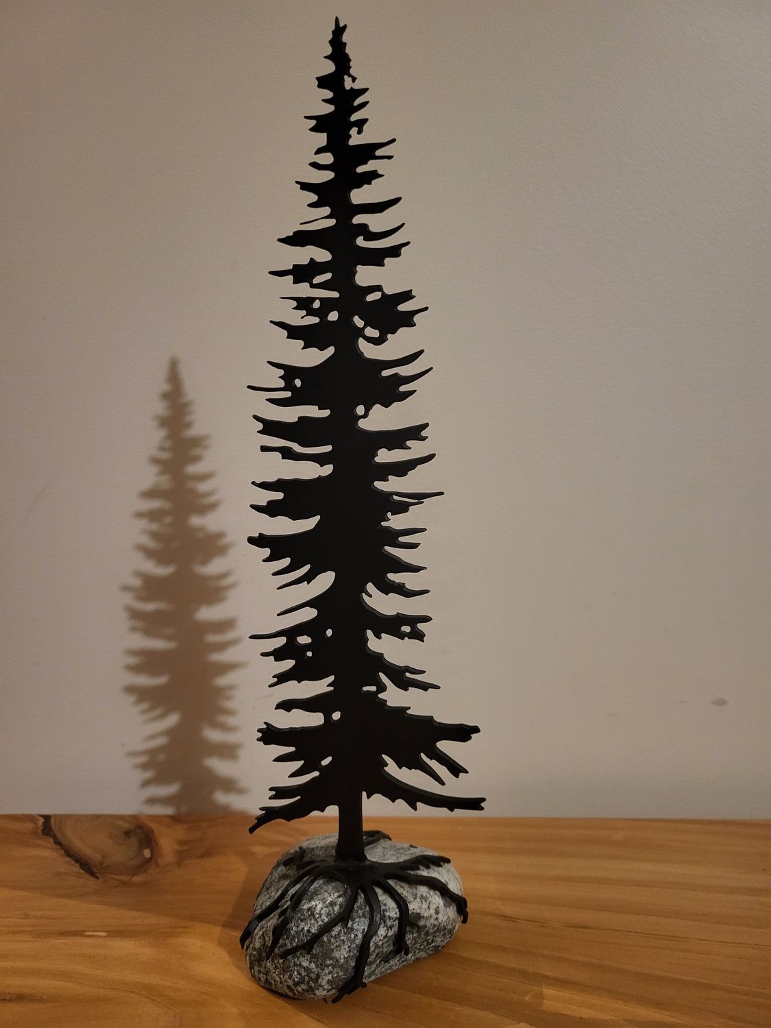 Sitka spruce mounted on rock