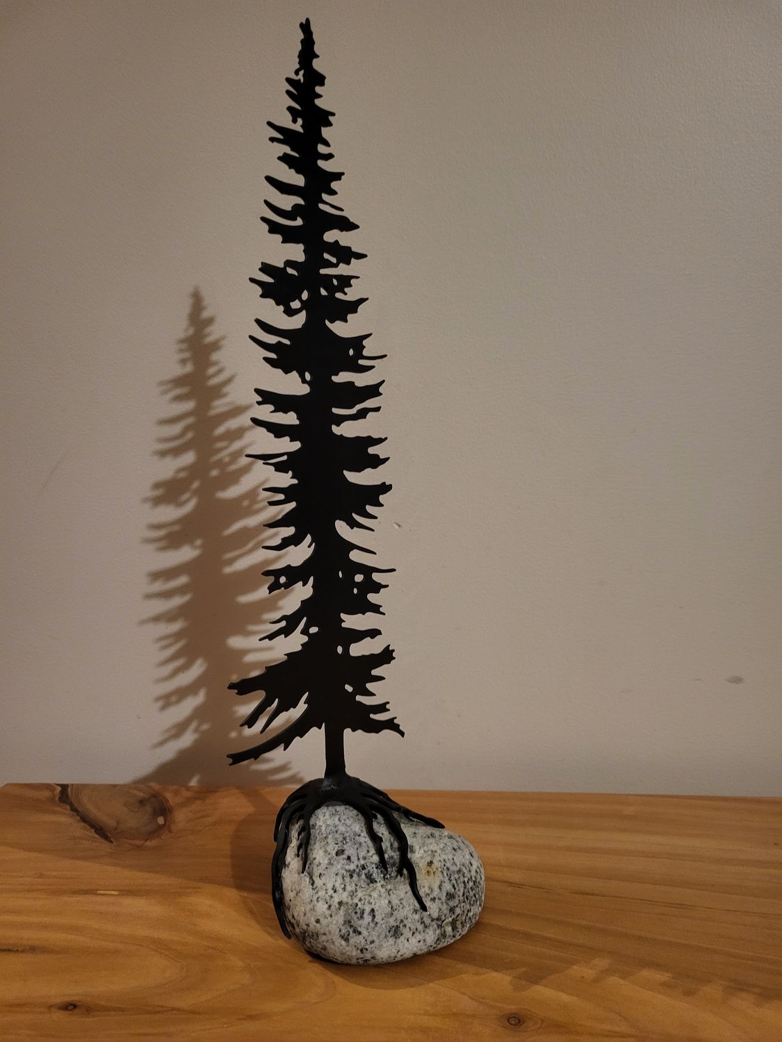 Sitka spruce mounted on rock