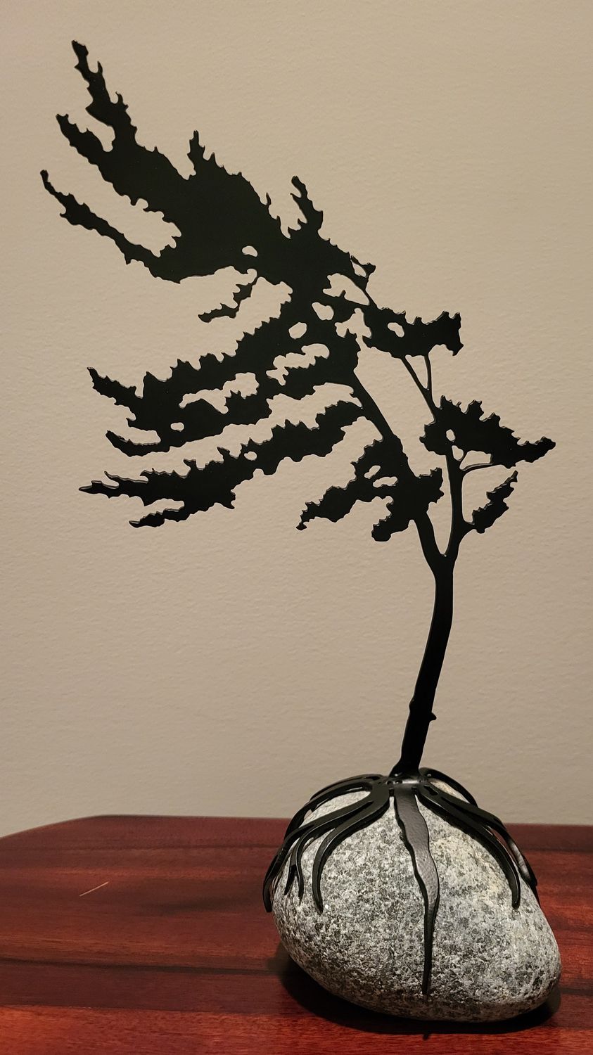 Windswept tree