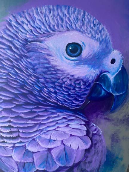 Purple Parrot