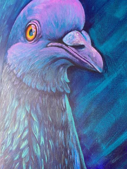 Pigeon