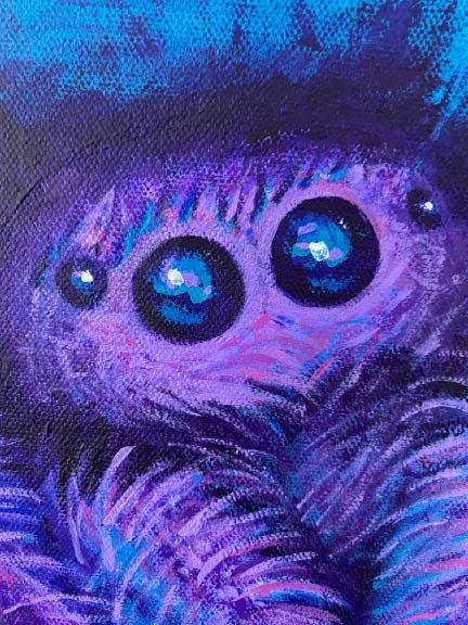 Spider
