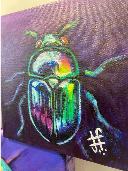 Black beetle