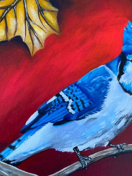 Blue Jay