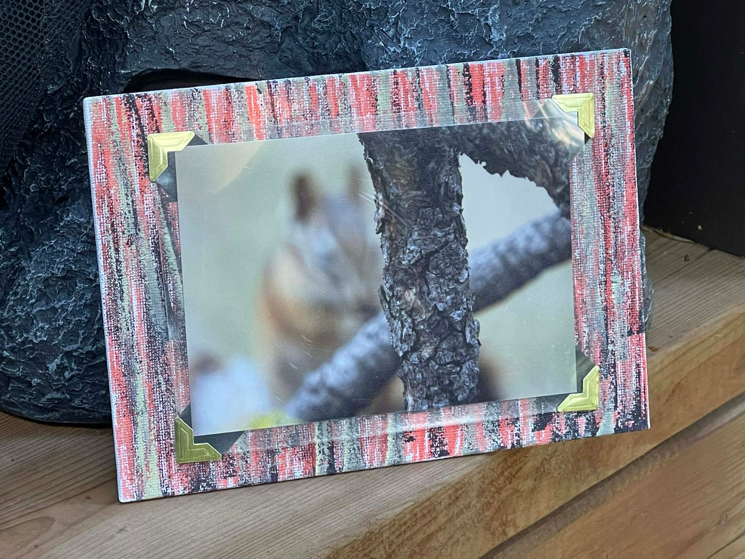I See You! (Out of focus Chipmunk behind Evergreen Twig): Canvas Magnet