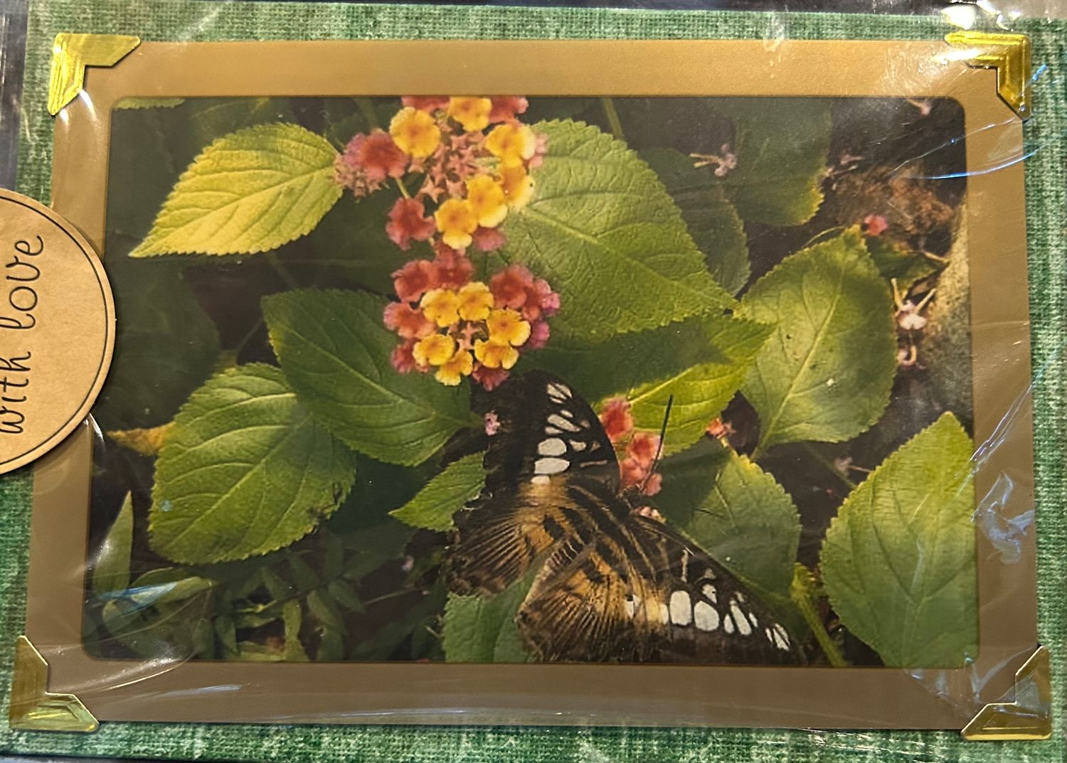 Butterfly/Common Lantana:  Canvas and Magnet