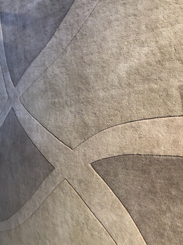 Area Rug 5’ X 8’