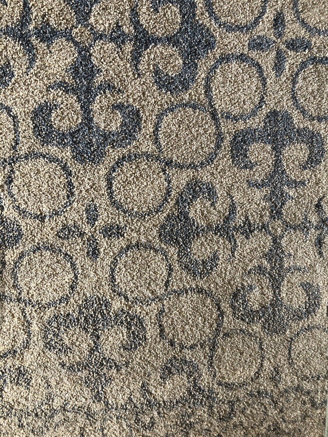 Area Rug, 7’10”x10’10”