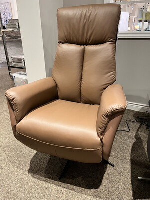 Recliner Power, Leather With Match