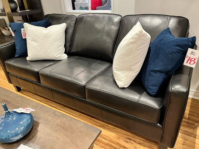 Sofa, Leather