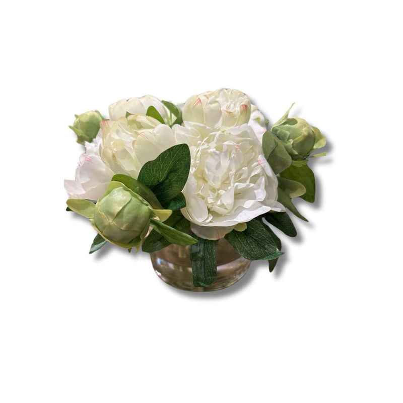Botanicals