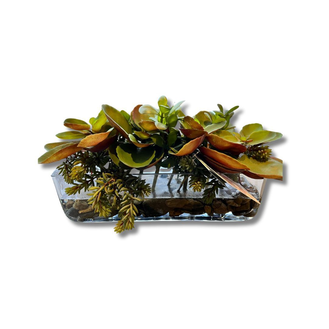 Botanicals