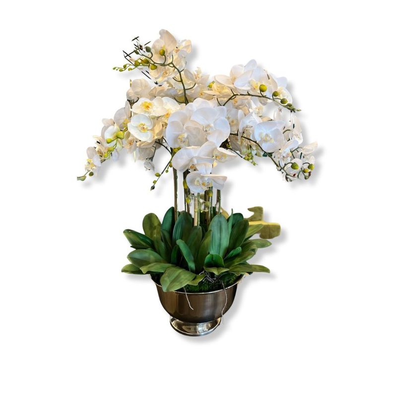 Botanicals