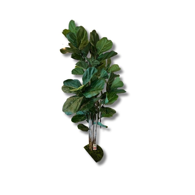 Botanicals