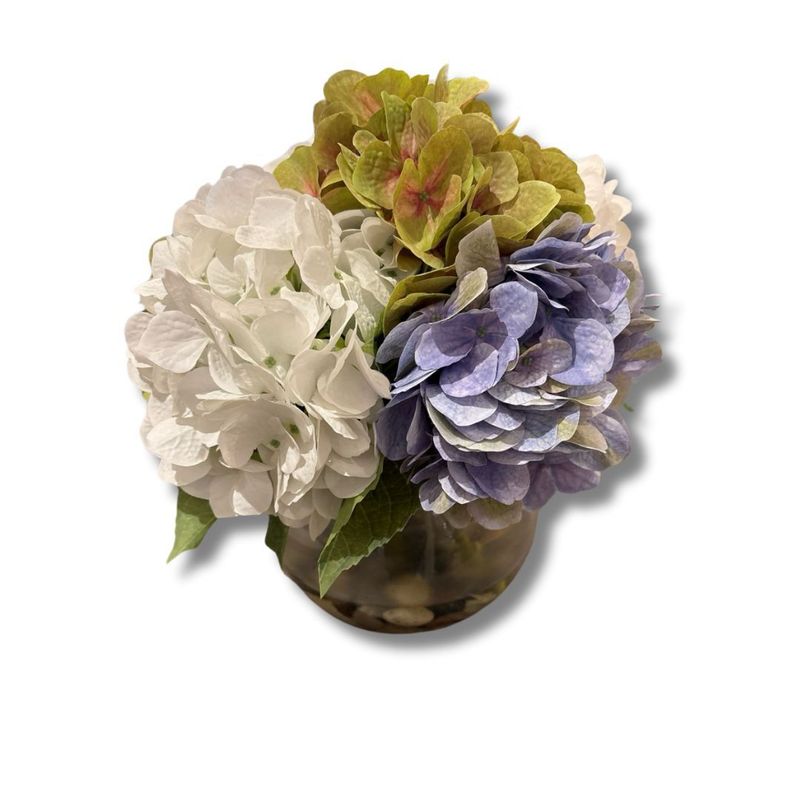 Botanicals