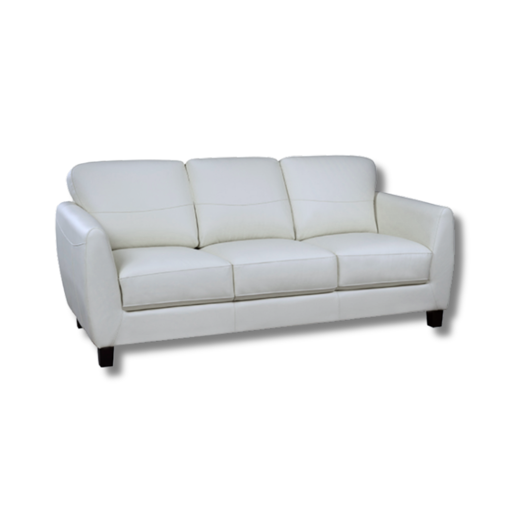 Sofa, Leather