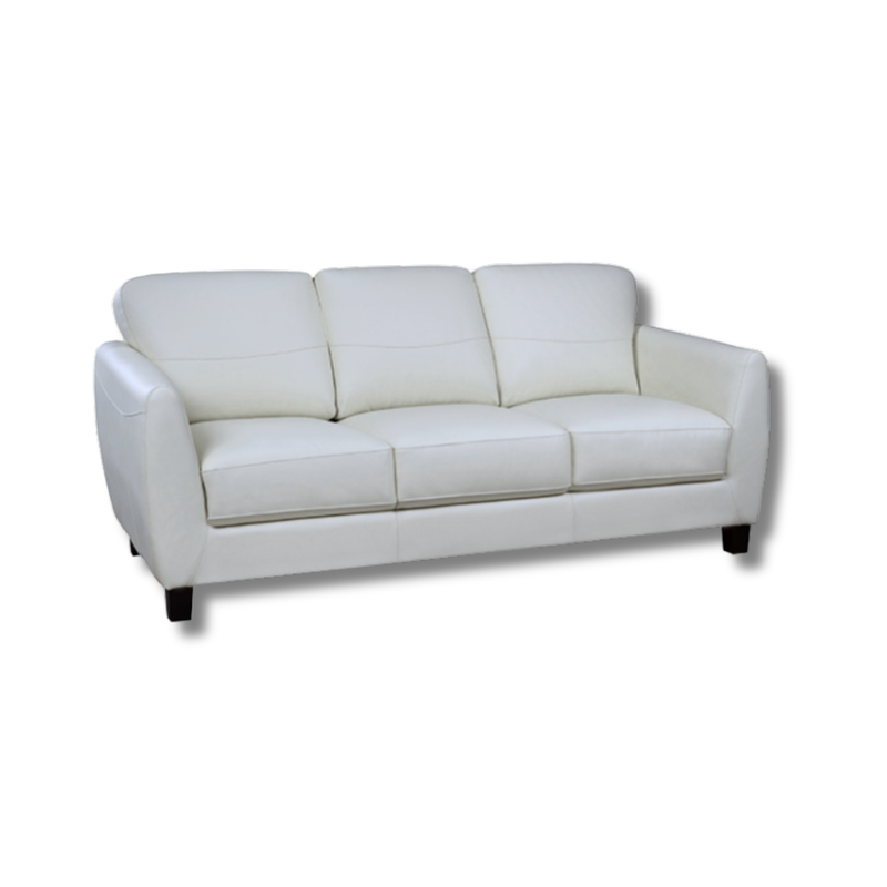 Sofa, Leather