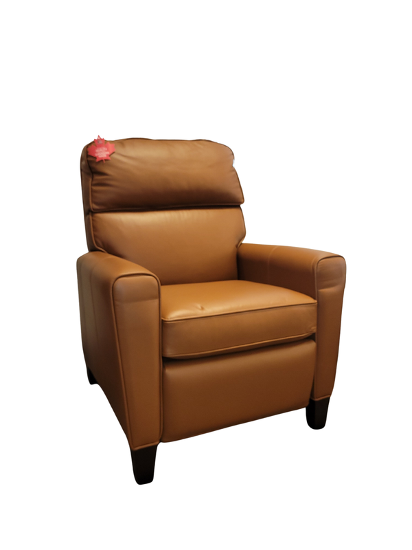 Vogel Chair Deluxe Recliner