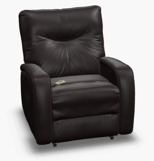 Palliser Power Lift Recliner, Leather With Match