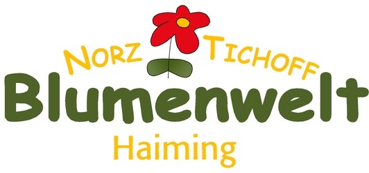 Blumenwelt Norz - Tichoff Online Shop