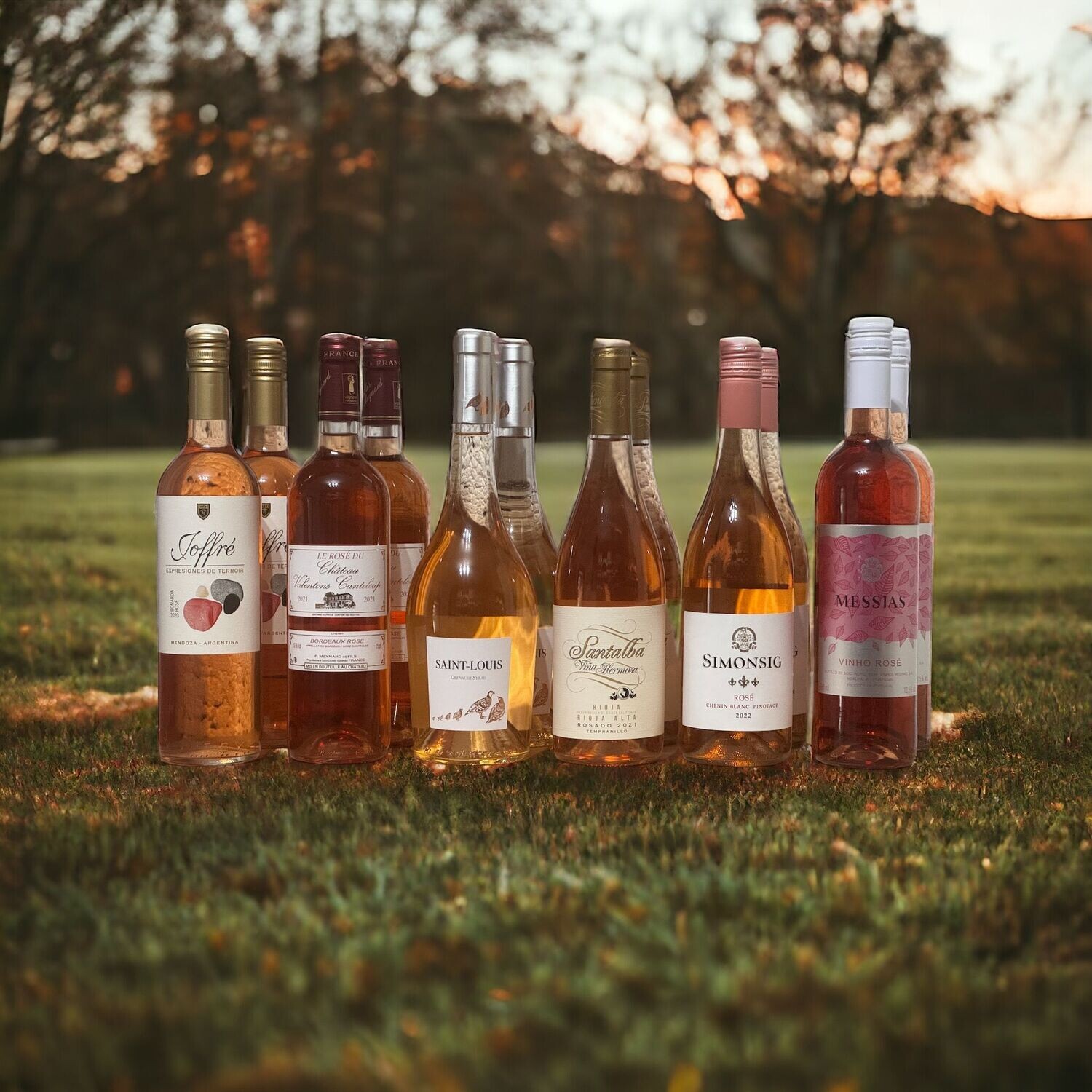 Spring Into Rosé - 12 bottles