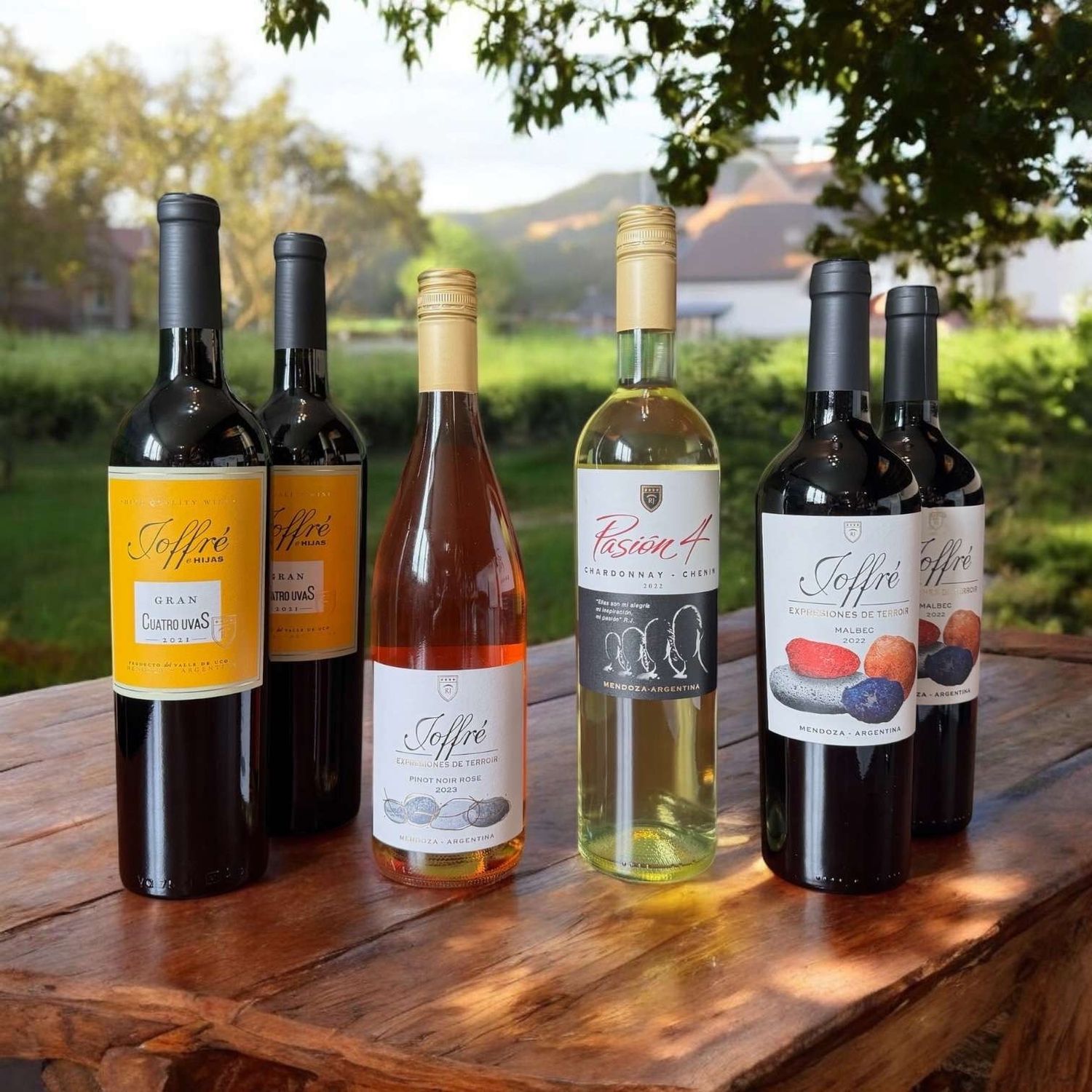 Joffre Argentinian Estate: 6-12 Bottles