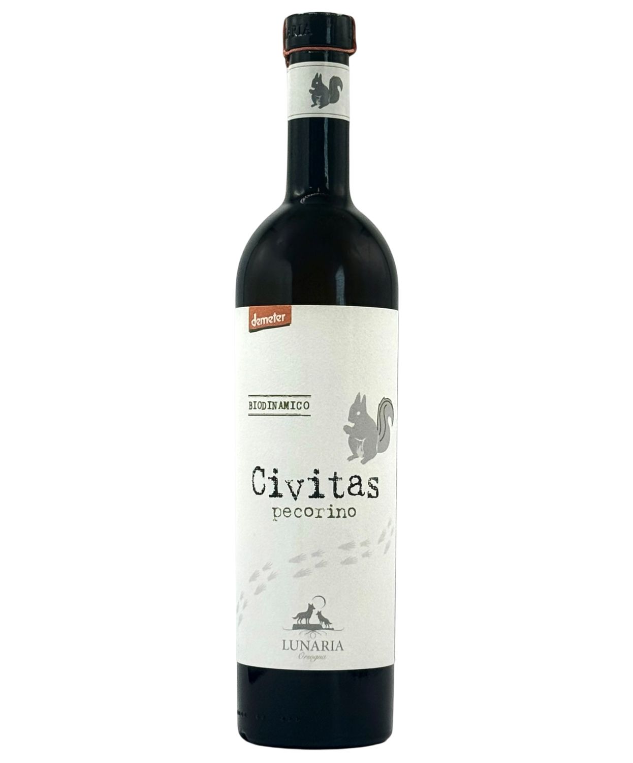 Civitas Pecorino d'Abruzzo, Abruzzo, Italy (VG)
