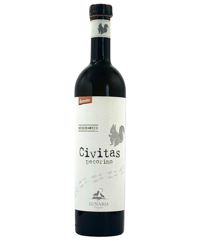 Civitas Pecorino d'Abruzzo, Abruzzo, Italy (VG)