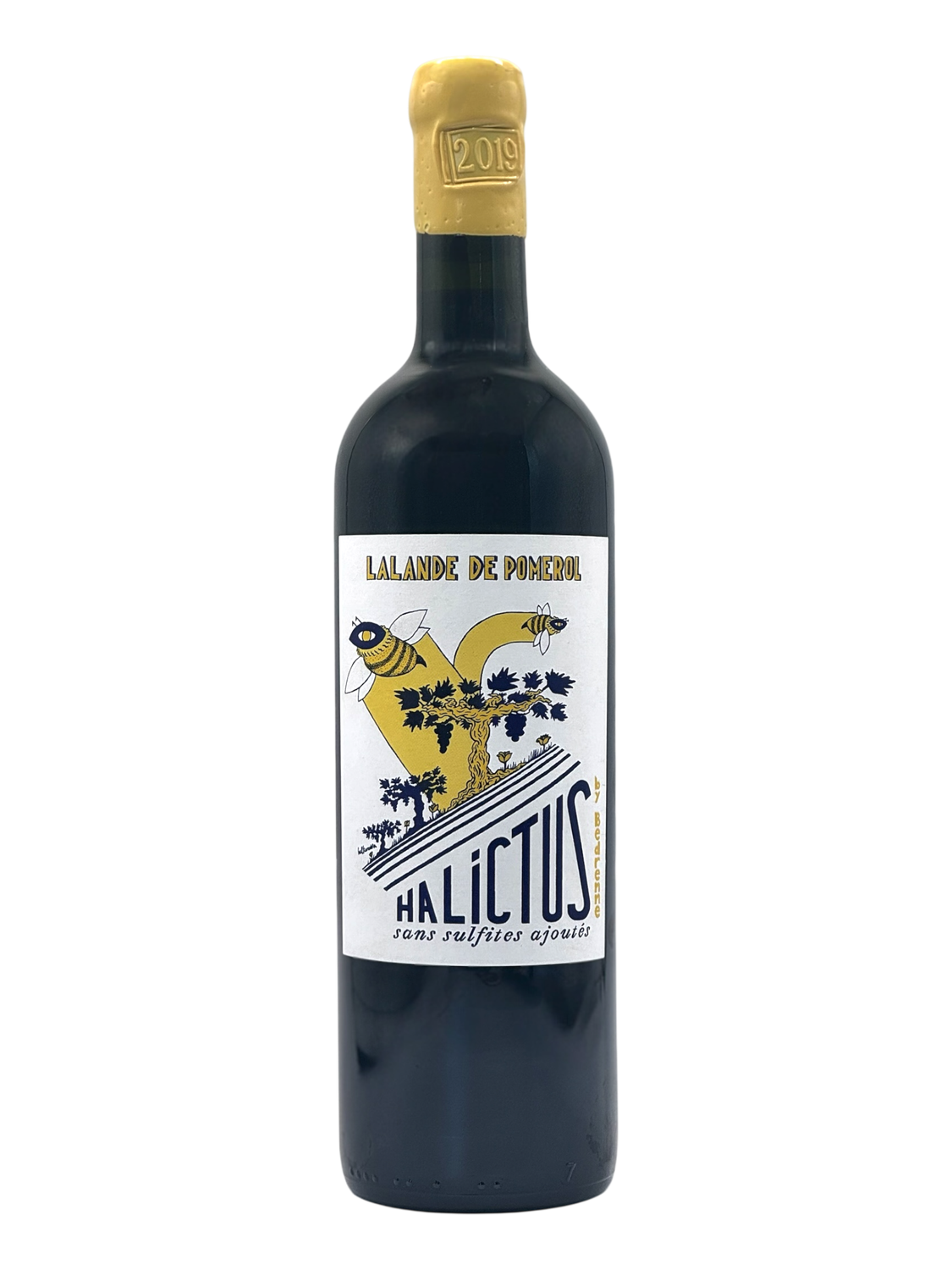 Halictus by Bedrenne Lalande-de-Pomerol, Bordeaux, France (VG)